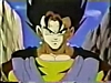 vegeto.jpg